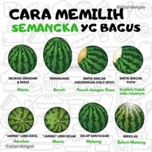 memilih buah semangka yang benar