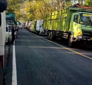 Macet di Baluran Situbondo