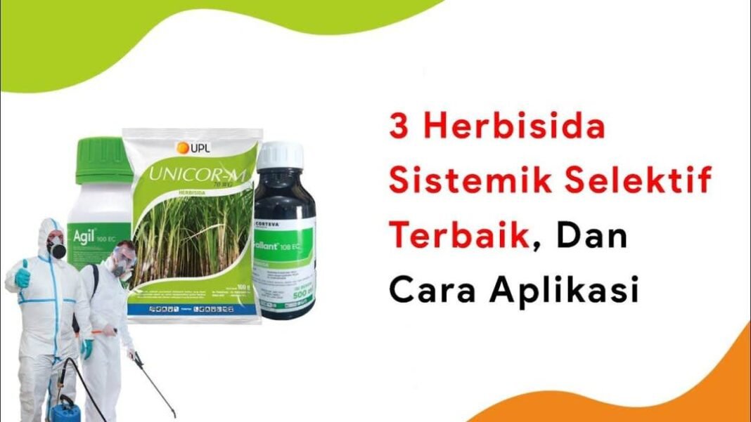 Herbisida Adalah, Pengendalian Gulma, Pertanian, Efektif, Produktivitas Tanaman, Jenis Herbisida, Herbisida Kontak, Herbisida Sistemik, Herbisida Selektif, Penggunaan Herbisida, Dampak Herbisida, Tips Penggunaan Herbisida, Herbisida Ramah Lingkungan