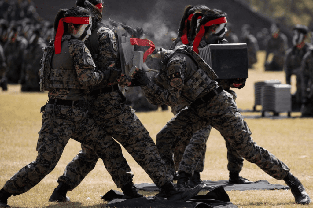 Angkatan Bersenjata, pertahanan negara, militer Indonesia, keamanan nasional, modernisasi TNI, bela negara, peran TNI