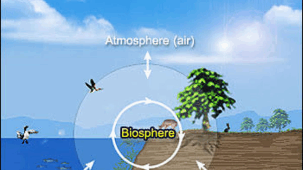 apa itu biosfer, fungsi biosfer, peran biosfer, komponen biosfer, struktur biosfer, ancaman terhadap biosfer, konservasi biosfer
