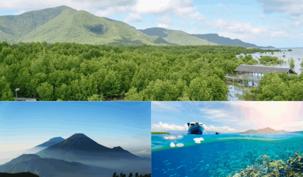 apa itu biosfer, fungsi biosfer, peran biosfer, komponen biosfer, struktur biosfer, ancaman terhadap biosfer, konservasi biosfer
