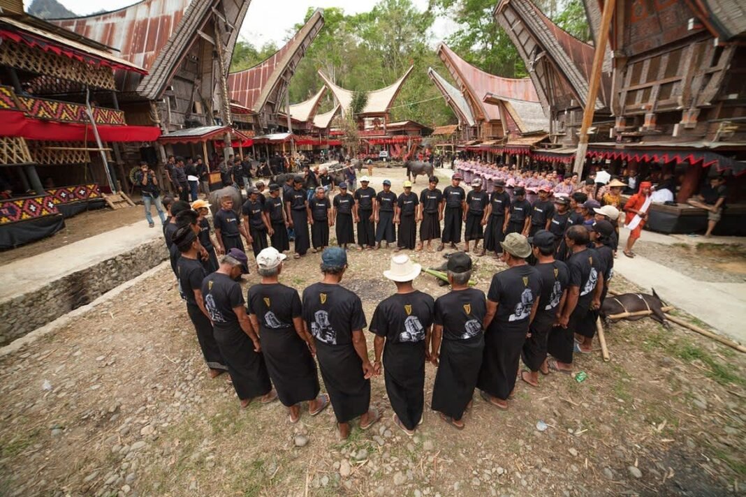 suku sulawesi, budaya sulawesi, suku bugis, suku kaili, suku bajo, etnis sulawesi, tradisi sulawesi