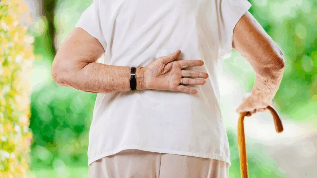 sarcopenia, lansia, kesehatan otot, penuaan, olahraga lansia, nutrisi lansia, pencegahan sarcopenia, kekuatan otot, hidup sehat