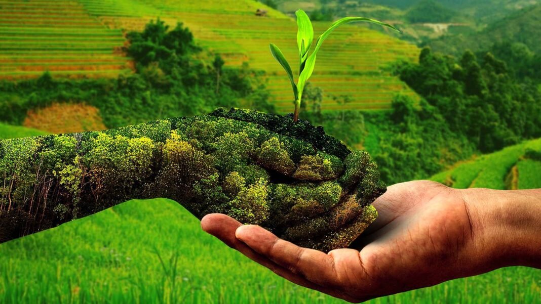 natural farming adalah