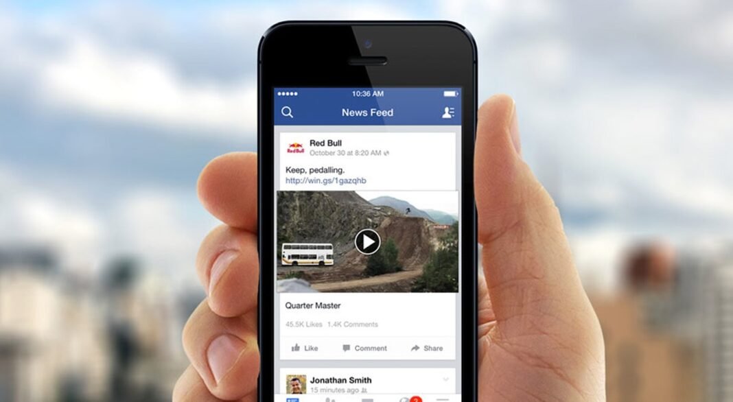 Memahami Konsep Dasar Apa Itu Feed?