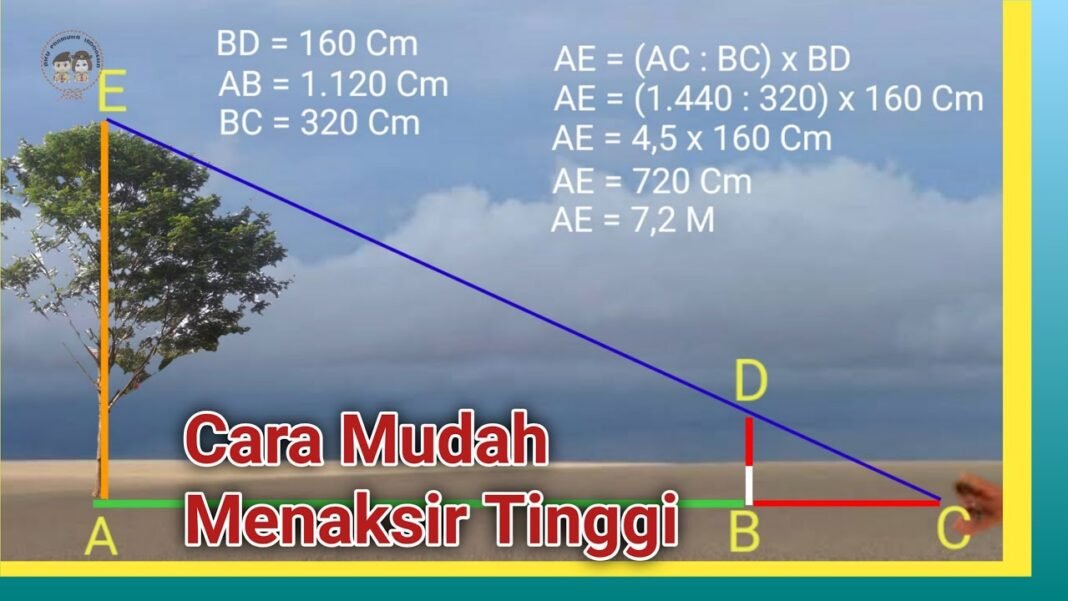 Mengapa Menaksir Pramuka Adalah Skill yang Wajib Dikuasai?